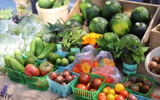 The menu at Avling Kitchen is filled with harvested produce from the roof, ensuring that each meal is a special pleasure. © Avling Various vegetables